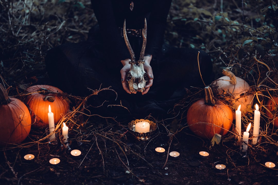découvrez l'univers fascinant de la citrouille : recettes savoureuses, astuces de jardinage et bienfaits pour la santé. plongez dans l'automne avec des idées créatives pour utiliser la citrouille dans votre cuisine et votre décoration.
