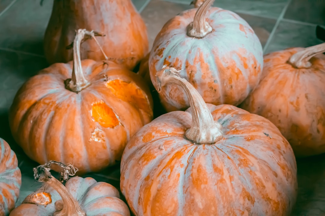 découvrez le monde fascinant des citrouilles algorithmiques, où l'art rencontre la technologie. explorez comment les algorithmes transforment la création de motifs sur ces légumes emblématiques d'halloween, alliant innovation et créativité pour des designs uniques et inspirants.