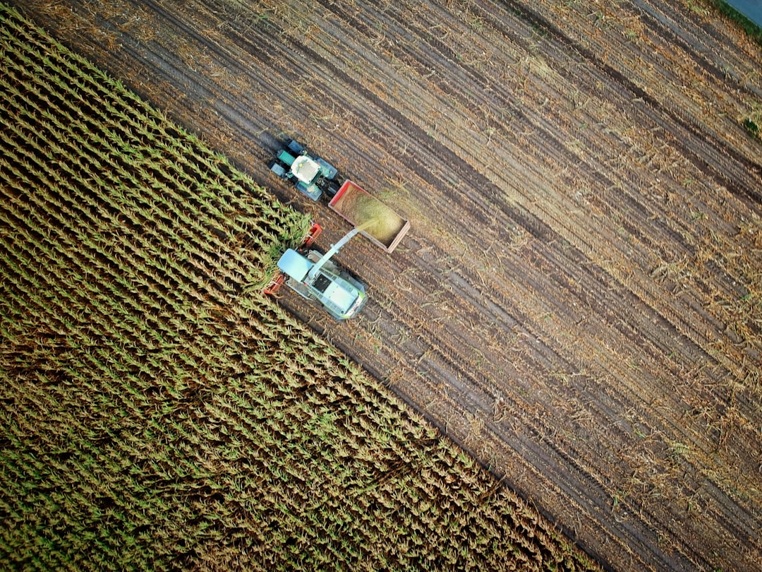 découvrez les dernières tendances de l'intelligence artificielle dans le secteur agricole. apprenez comment l'ia transforme les pratiques agricoles, optimise la production et améliore la durabilité. restez à jour avec les innovations qui redéfinissent l'agriculture moderne.