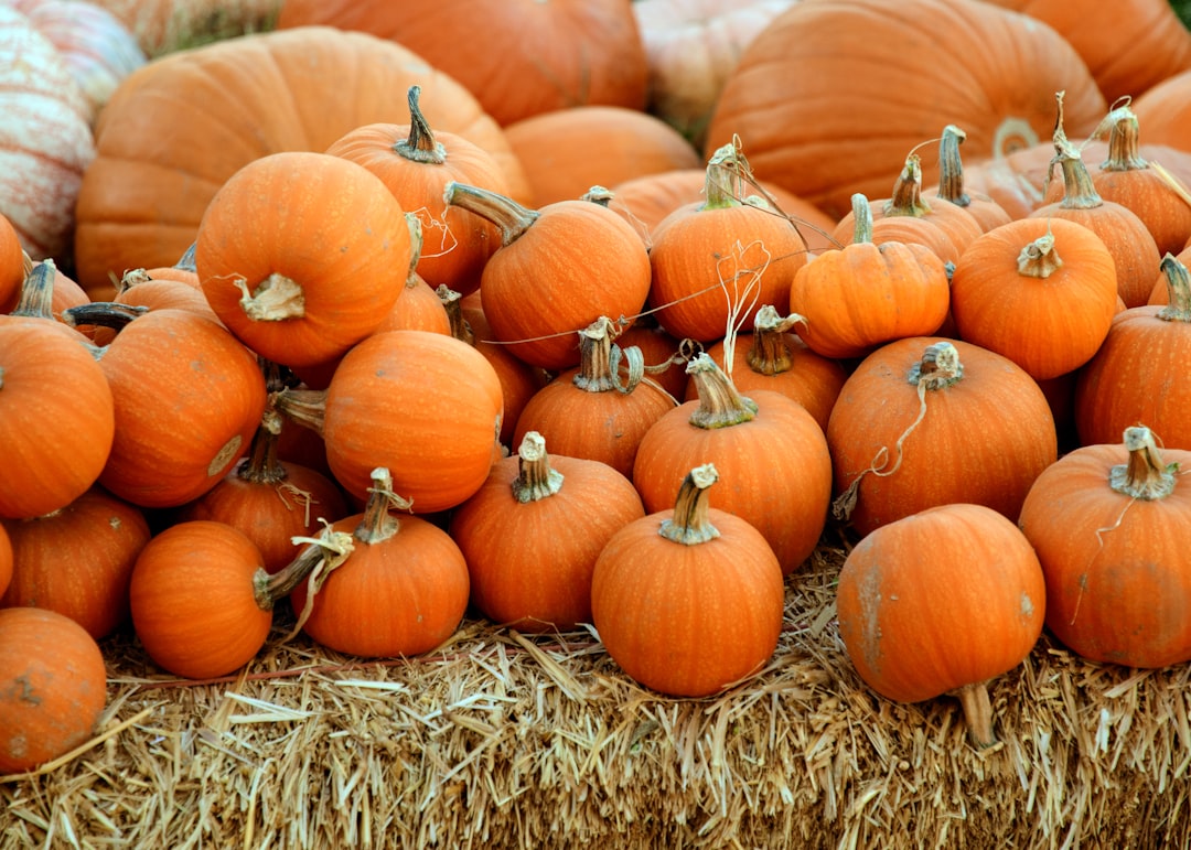 découvrez l'univers fascinant des citrouilles algorithmiques, où art et technologie se rencontrent. explorez comment les algorithmes inspirent des créations uniques et innovantes, transformant des citrouilles ordinaires en œuvres d'art numériques saisissantes.
