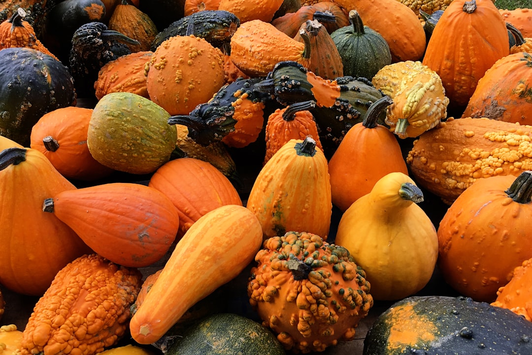 découvrez l'univers fascinant des citrouilles algorithmiques, où l'art et la technologie se rencontrent. plongez dans des créations uniques, fascinantes et innovantes qui allient programmation et design, et apprenez comment ces œuvres numériques prennent vie grâce à des algorithmes créatifs.